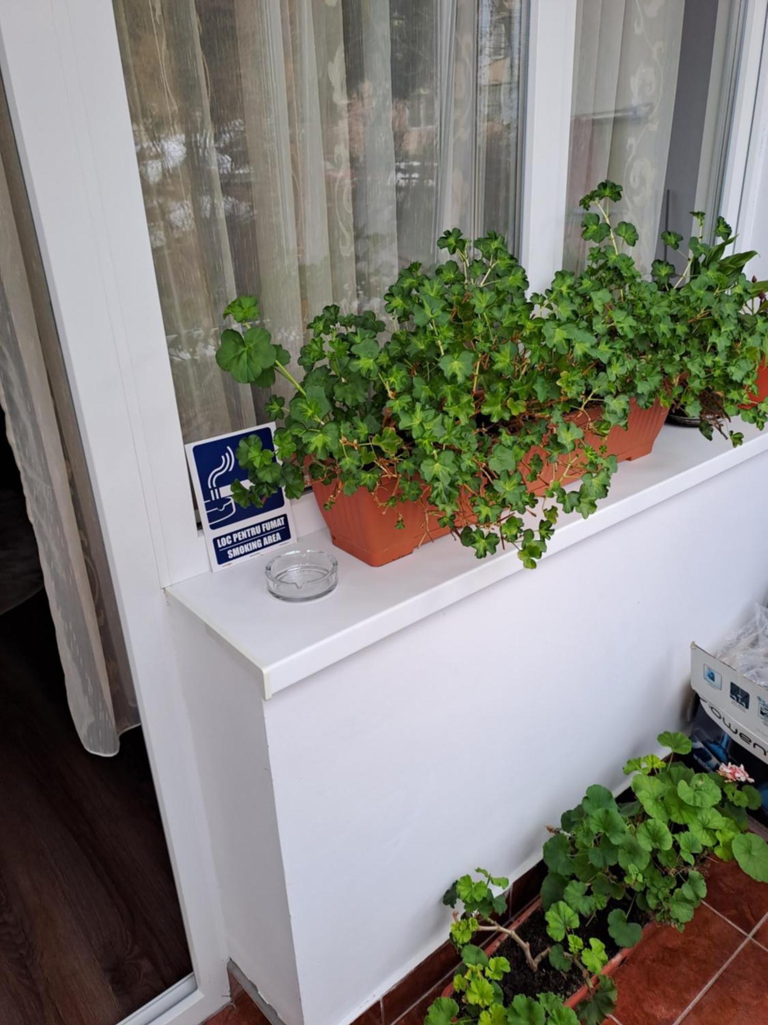 Apartamento Orion Predeal Exterior foto